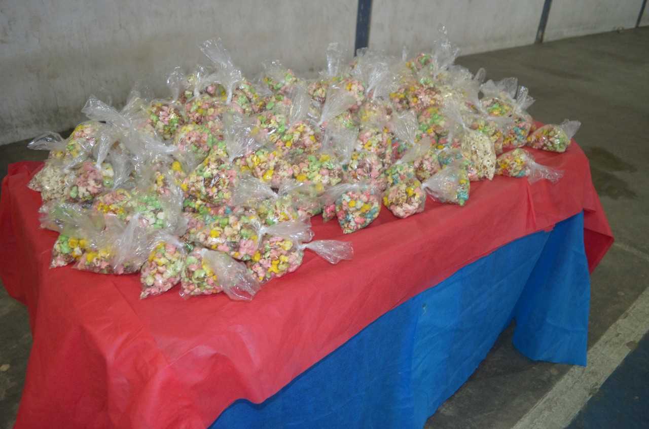 Secretaria de Assistência Social e CRAS lançam Programa Criança Feliz